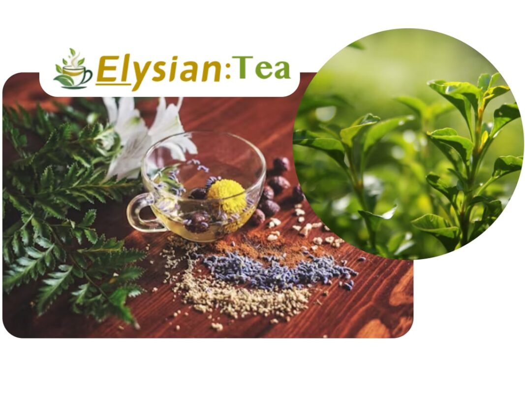 How to Choose a Tea Set for Beginners: Step-by-Step Guide How to Choose a Tea Set for Beginners: Step-by-Step Guide